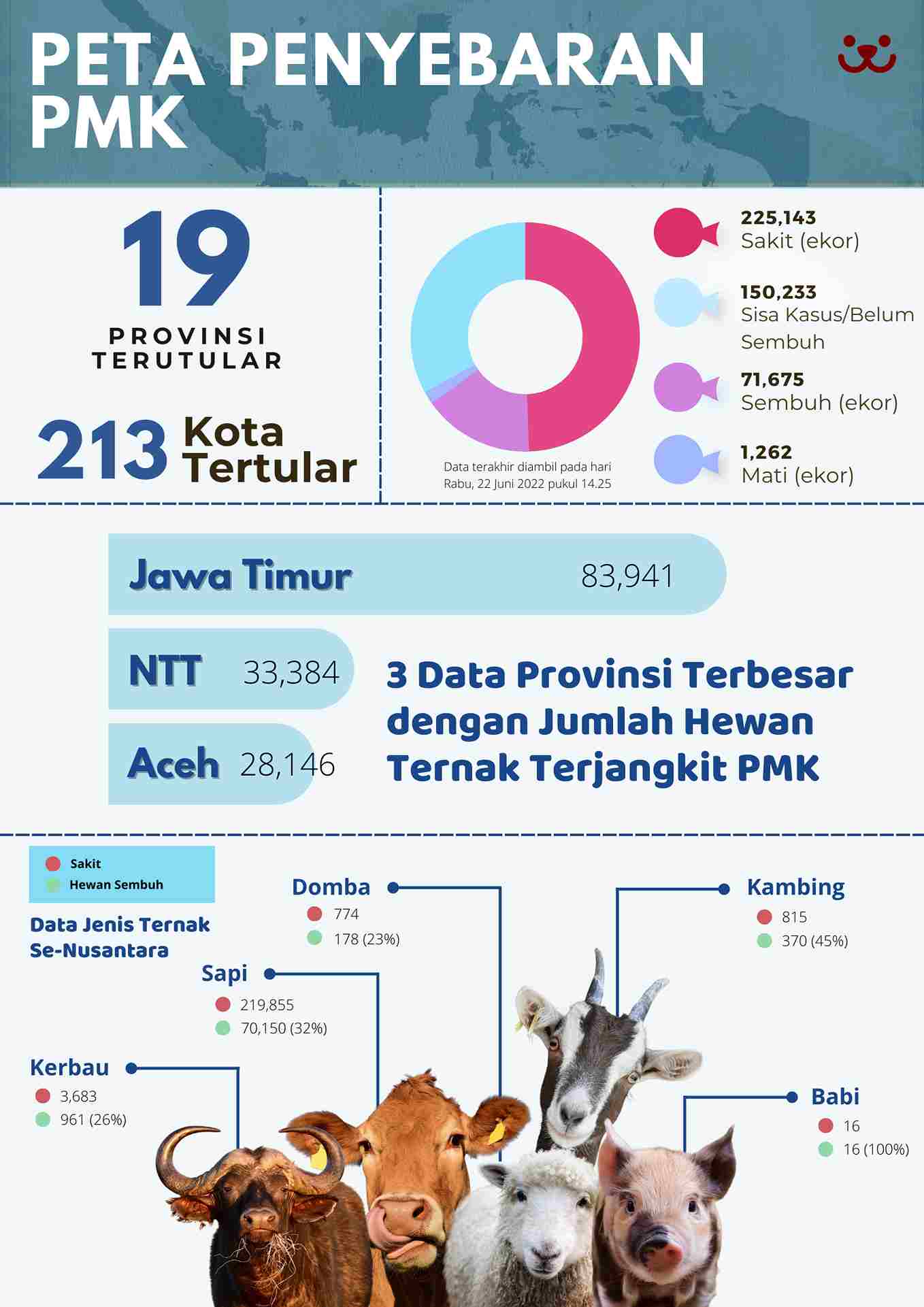 Infografis data penyebaran penyakit pmk di Indonesia