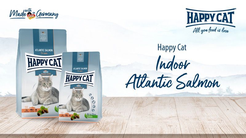 Happy Cat Indoor Atlantic Salmon