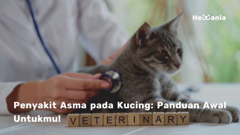 Memahami Asma pada Kucing: Panduan Awal Pemilik Hewan dan Profesional