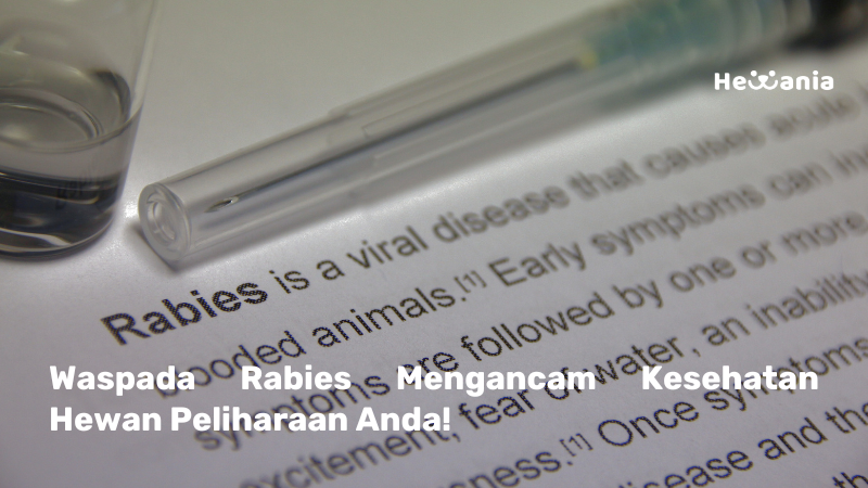 Mengenal Rabies: Ancaman Serius bagi Kesehatan Hewan Peliharaan Anda