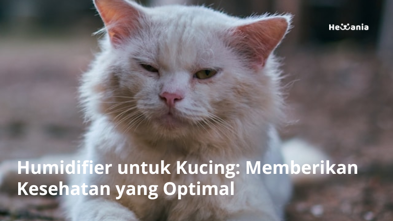 Humidifier untuk Kucing: Memberikan Kenyamanan dan Kesehatan yang Optimal