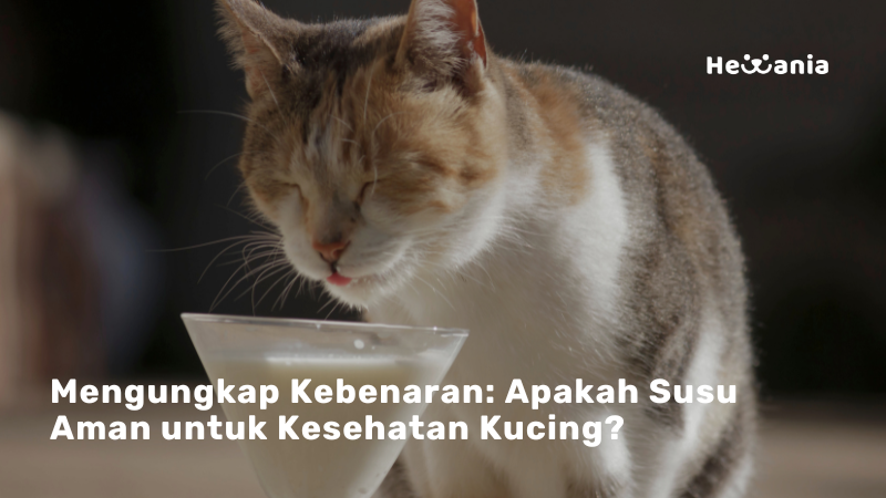 Mengungkap Rahasia: Apakah Susu Baik untuk Kesehatan Kucing?