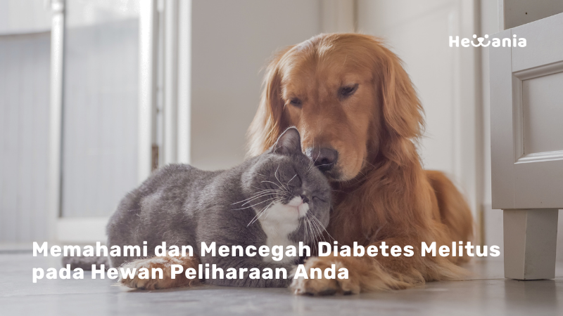 Diabetes Melitus Pada Anjing Dan Kucing: Memahami, Mencegah, Dan Mengelola