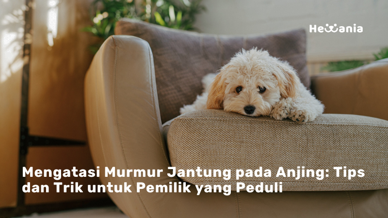 Mengatasi Murmur Jantung pada Anjing: Panduan Lengkap untuk Pemilik yang Peduli