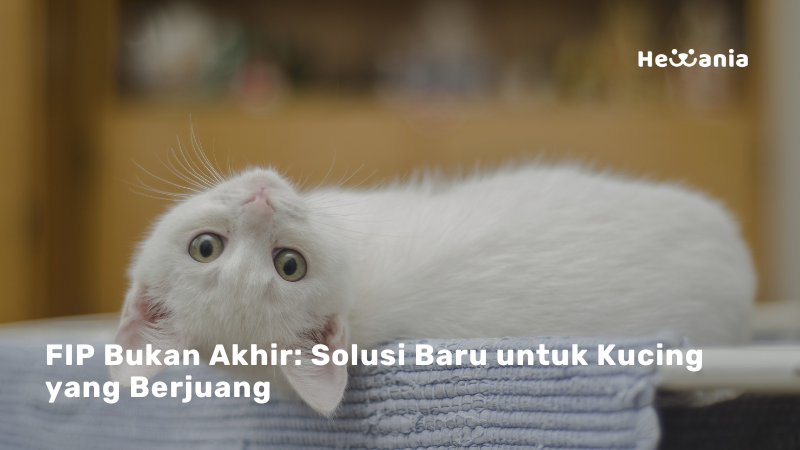 Harapan Baru Untuk Kucing Yang Terkena Fip