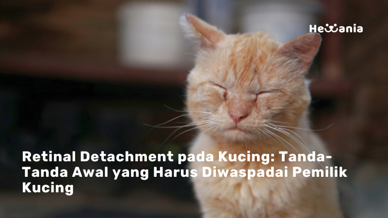 Penyebab Kebutaan pada Kucing: Retinal Detachment