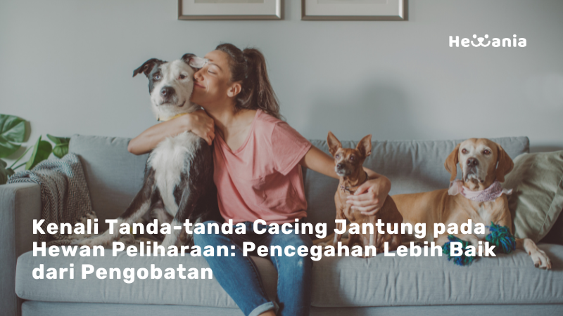 Cacing Jantung Pada Hewan Peliharaan: Mengenali, Mencegah, Dan Mengobati