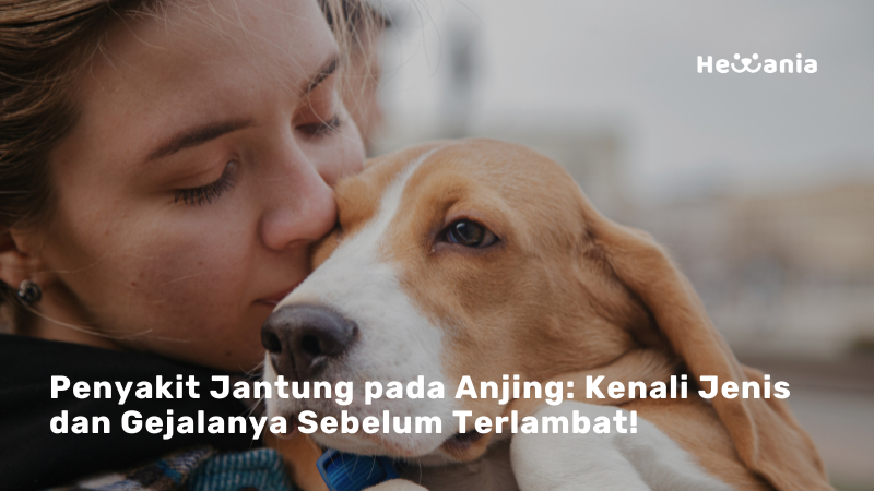 Penyakit Jantung Pada Anjing: Memahami Jenis, Gejala, Pengobatan, Dan Pencegahan