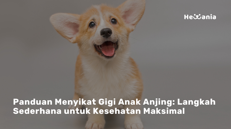 Tips Menyikat Gigi Anak Anjing Anda! 