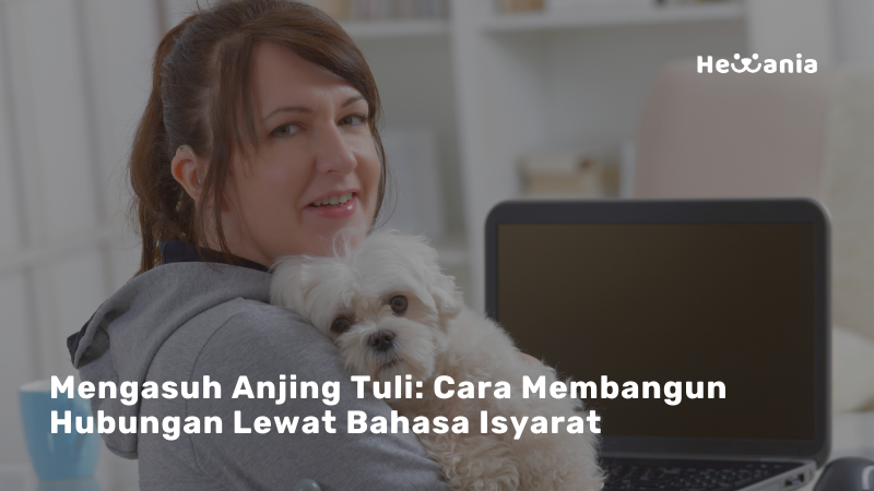 Tips dan Trik Melatih Anjing Tuli Agar Tetap Taat dan Bahagia