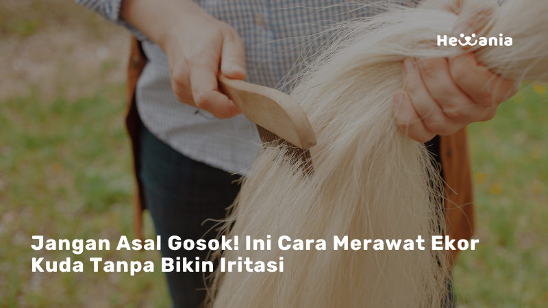 Rahasia Ekor Kuda Bersih dan Sehat: Teknik Menggosok yang Benar