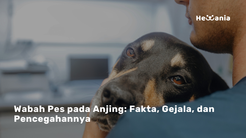 Mengenal Penyakit Pes: Ancaman Mematikan bagi Anjing dan Manusia