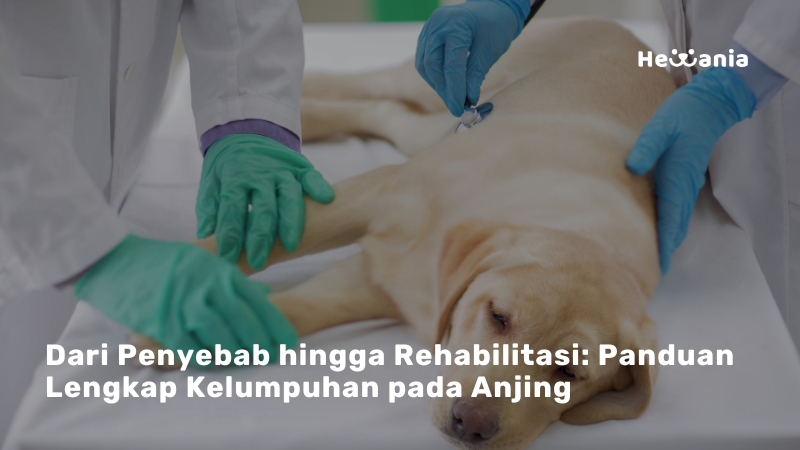 Mengenal Kelumpuhan pada Anjing: Penyebab, Gejala, dan Penanganannya